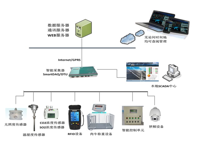 农业物联网肉牛智慧养殖系统方案 科技赋能，打造精细化、智能化现代牧场